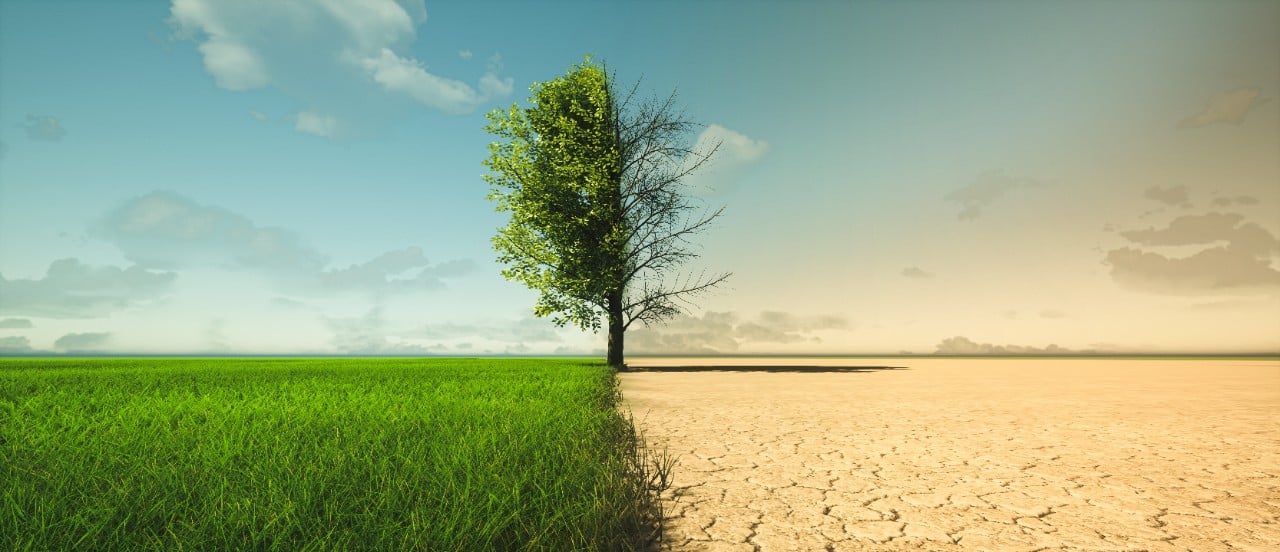 How Climate Change Affects Water Quality & Health | Allianz