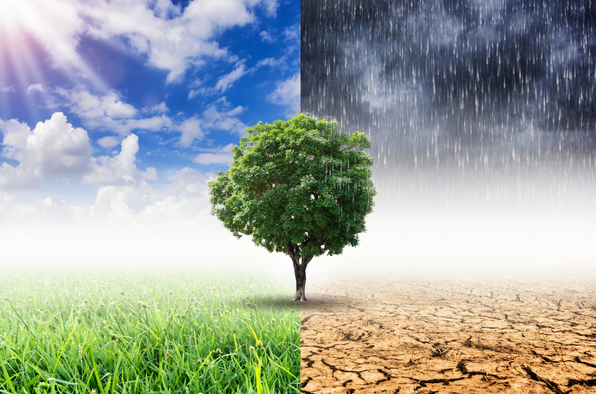 Impact of Climate Change on Water Supply and Health | Allianz