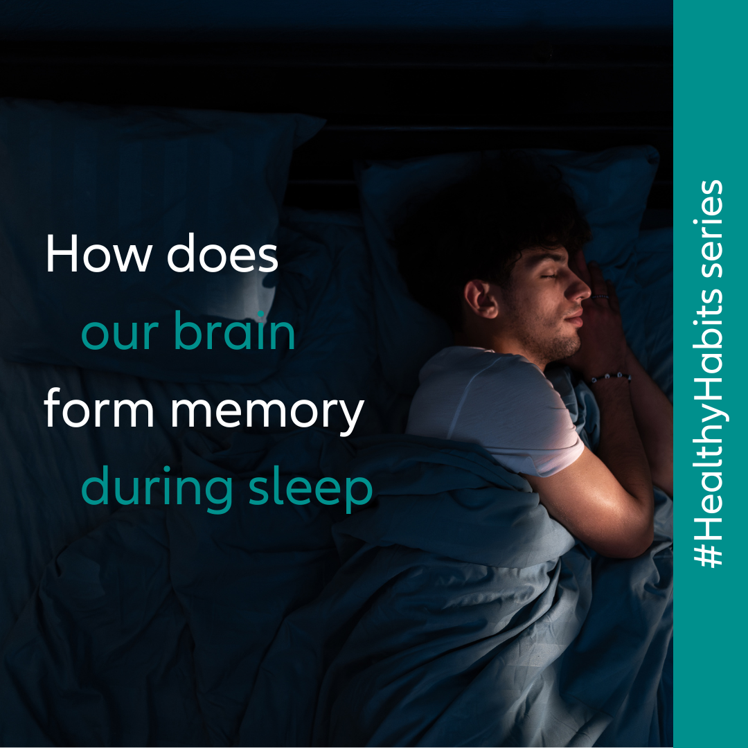 How does our brain form memory during sleep?