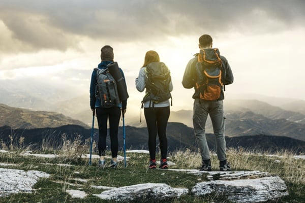 useful description of image if informative and not decoration only.